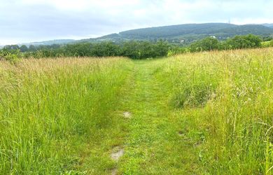 3088 m2 pozemok, lokalita Slanec, BAIII – Nové Mesto, k.ú. Vinohrady