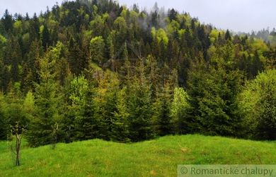 Pozemok s krásnym výhľadom neďaleko Ski centra, Litmanová