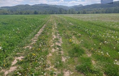 Predaj podielov na pozemkoch Hliník nad Váhom