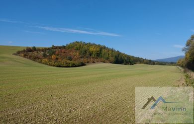 Na PREDAJ zmiešaný les a pozemok 28 000m²