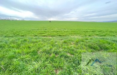 Na PREDAJ pozemok 2000m²  Pravotice okr Bánovce n/B.