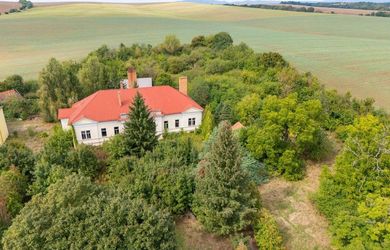 MIKELSSEN - Na predaj kaštieľ na pozemku 18 100 m2 pri Dudinciach