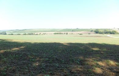 Exkluzívne PNORF –  orná pôda, 5571 m2, 12 €/m²