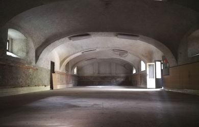 Na predaj FASCINUJÚCA BUDOVA - bývalá sýpka, Kráľová pri Senci