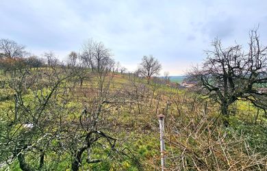 Rekreačný pozemok s vinicou Staré Levice