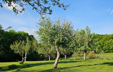 Pozemok so staveb.povolením Nová Baňa - Bukovina