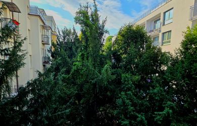 IMPREAL »» Staré Mesto » 3 izbový byt na Panenskej ul. » pôvodný stav » komplet vyprataný » 335.000,- EUR (ENG/DE text inside)