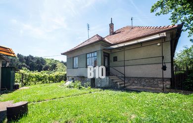 Rodinný dom s veľkým pozemkom v obľúbenej obci Kolíňany