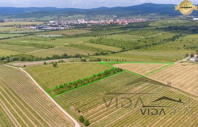 Na predaj zaujímavý pozemok v Modre s výmerou 6419 m2